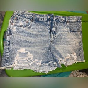 NWT AE Jean Shorts size 20